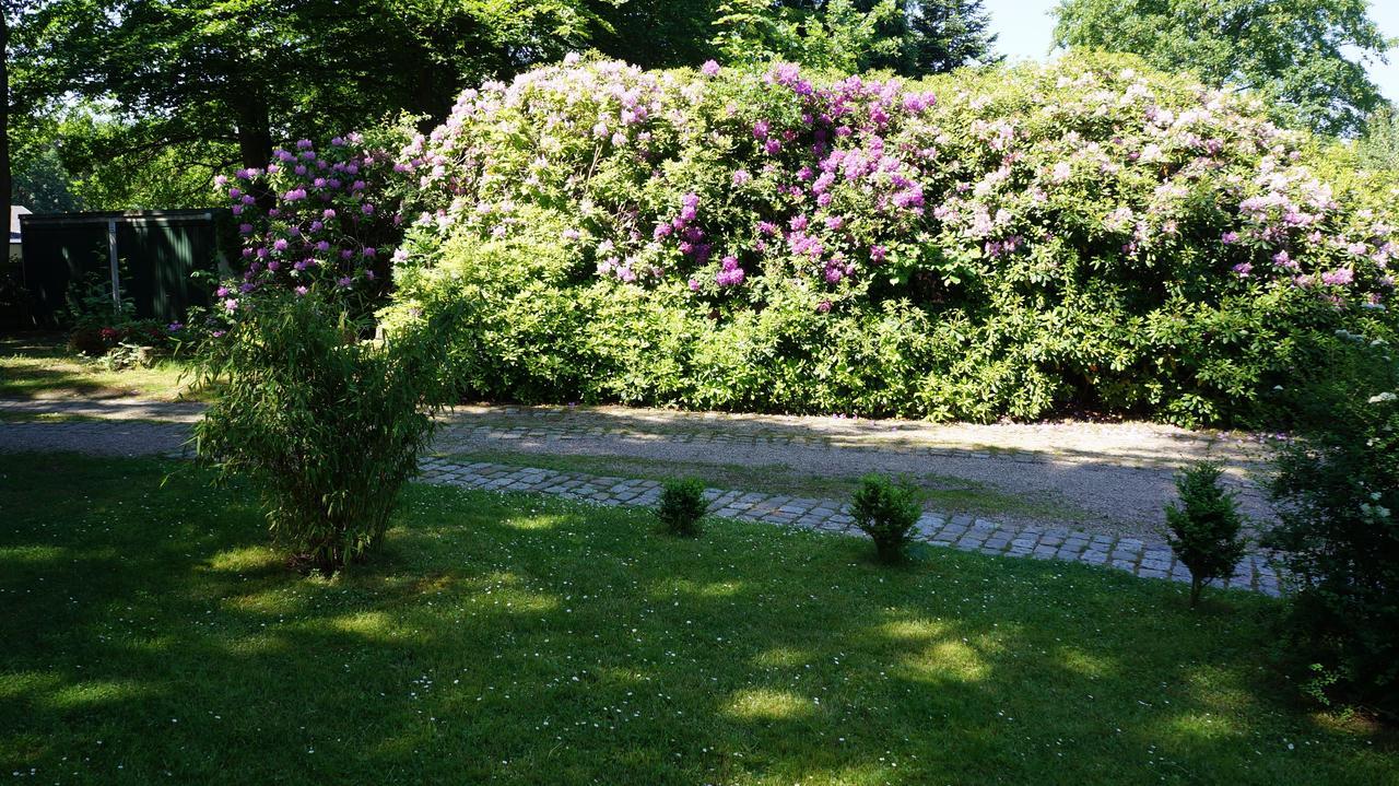 Exklusive Ferienwohnung Zwischen Uni Und Altstadt 뤼네부르크 외부 사진